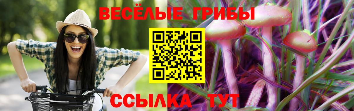 Псилоцибиновые грибы Psilocybe  Галлюциногенные грибы Psilocybine cubensis  Карабулак  Вход с VPN 