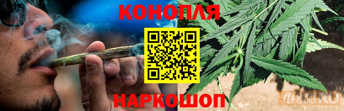 Конопля конопля Карабулак